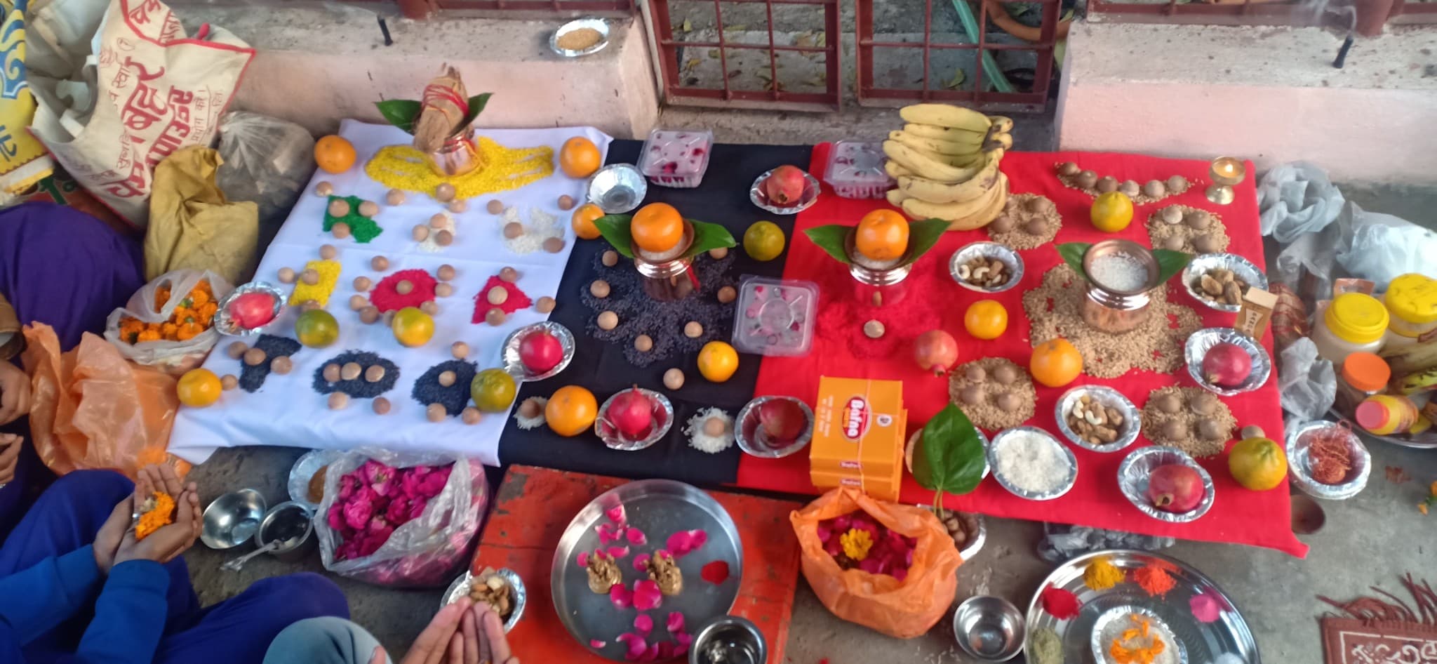 Ghanshyam Ojha — photo 5