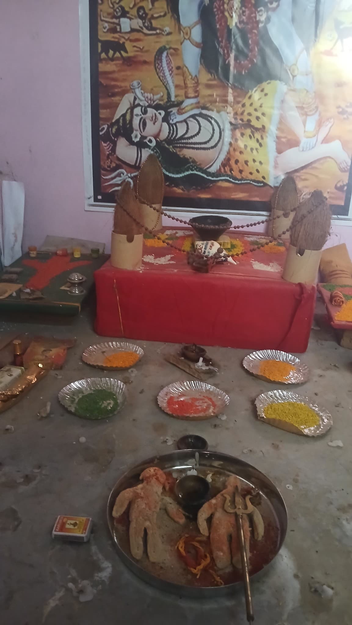 Astro Banwari ji — photo 3