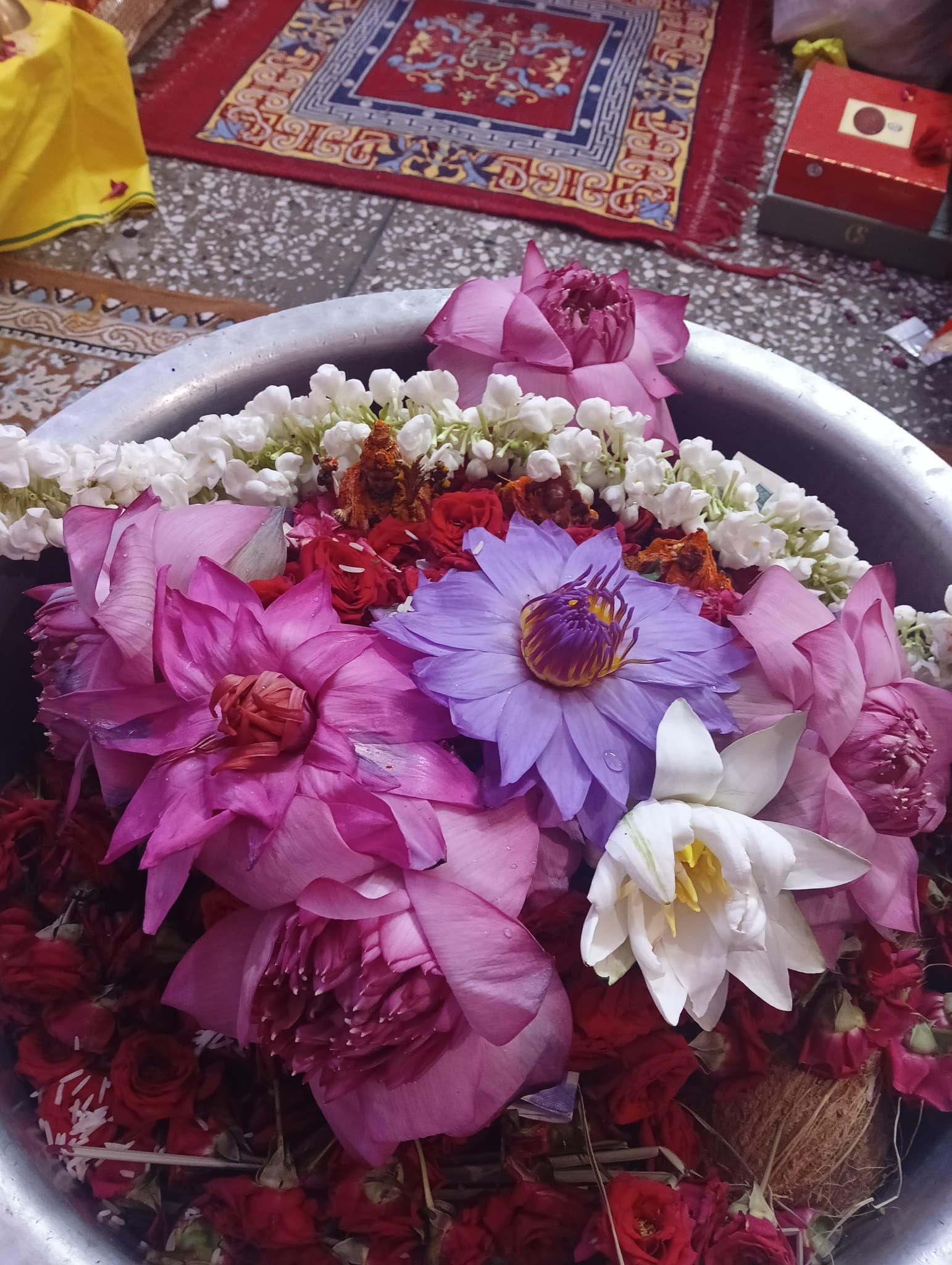 Acharya Khevan Sharma — photo 4