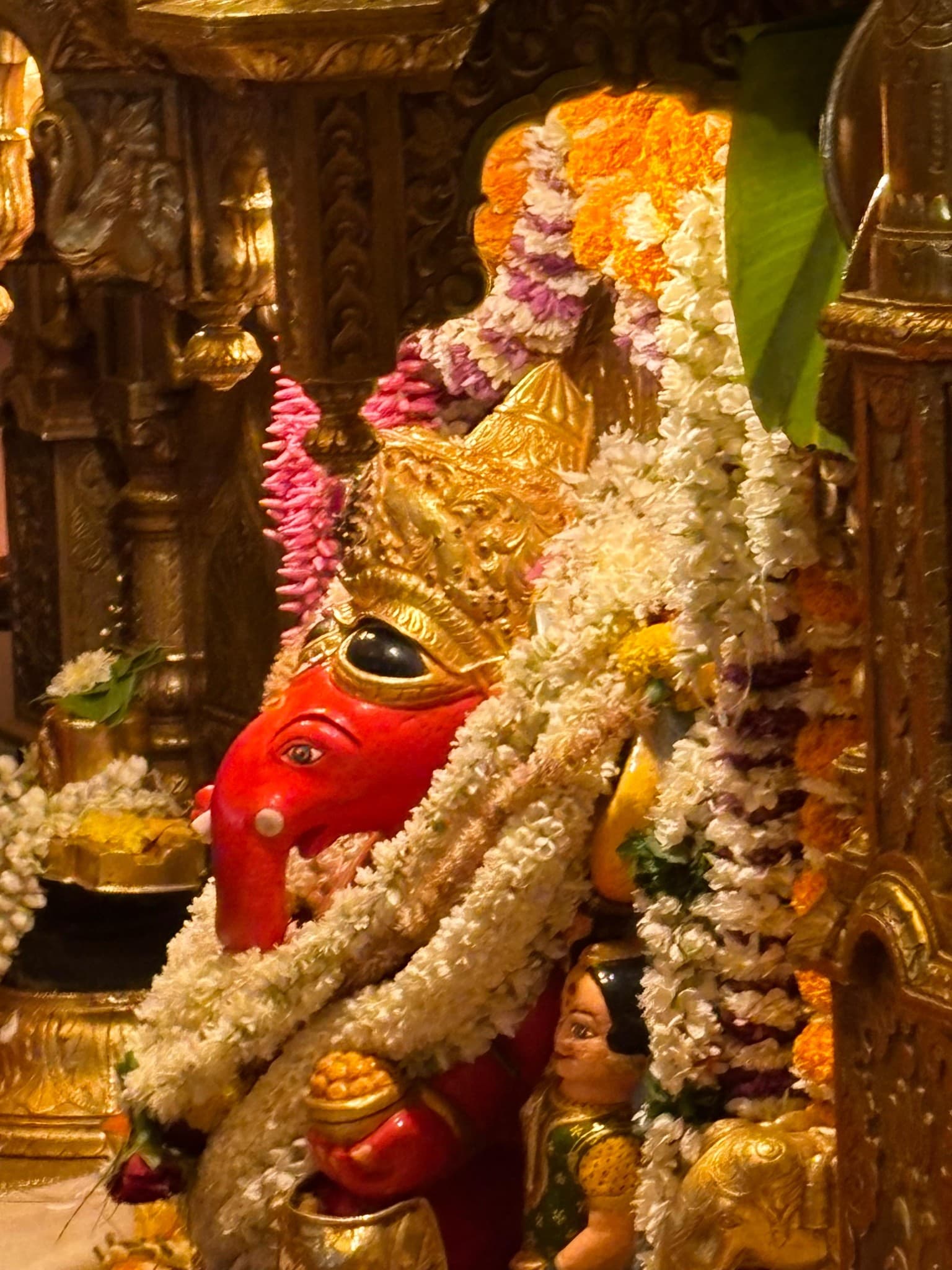 Astro Prem ji — photo 2