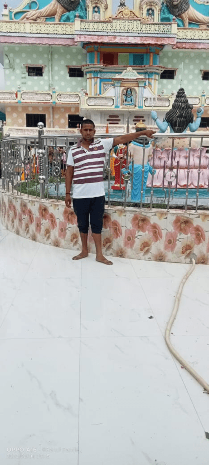 Vikash pandey — photo 7