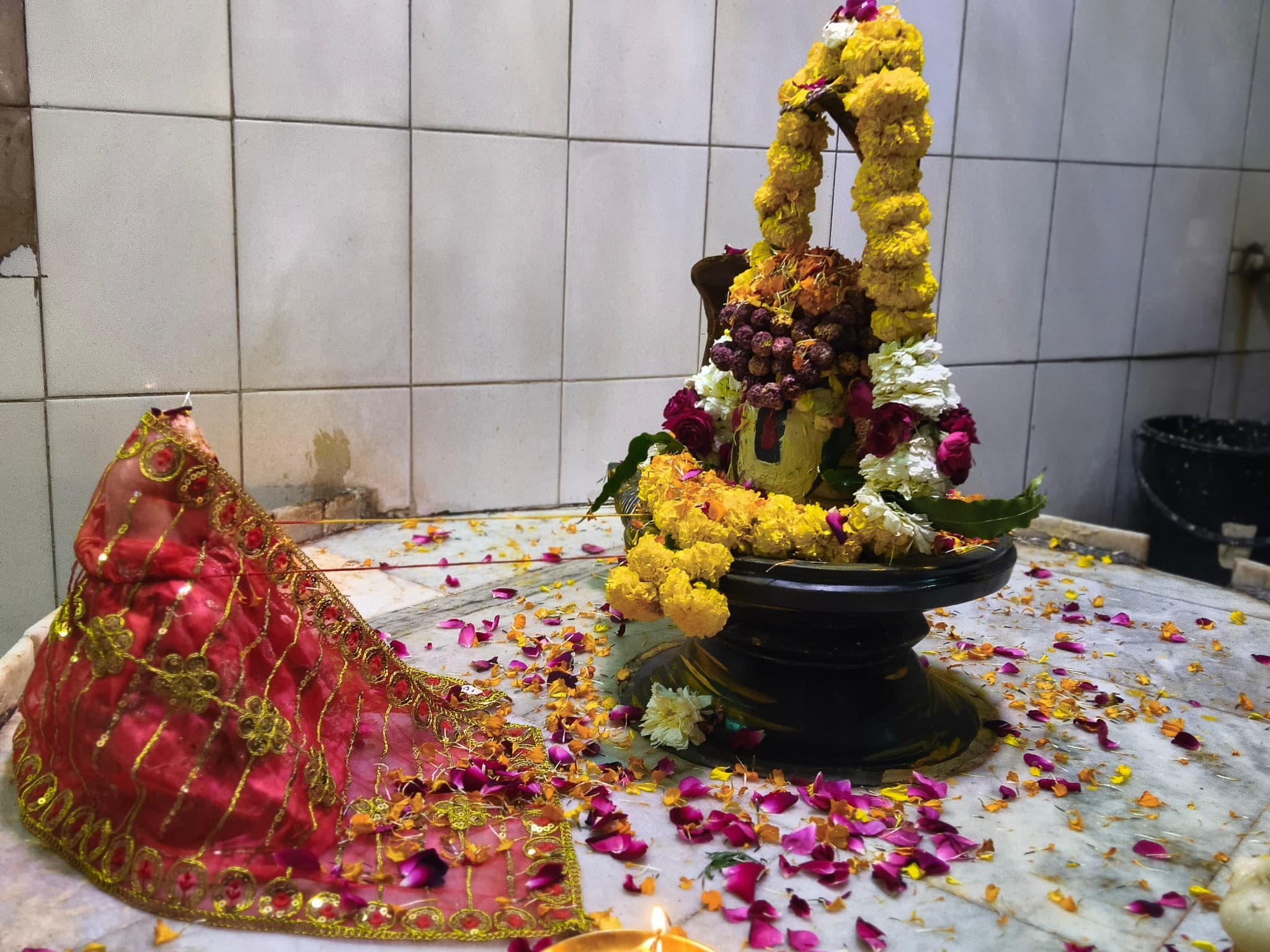 Daivagya Deepak Bhardwaj — photo 8