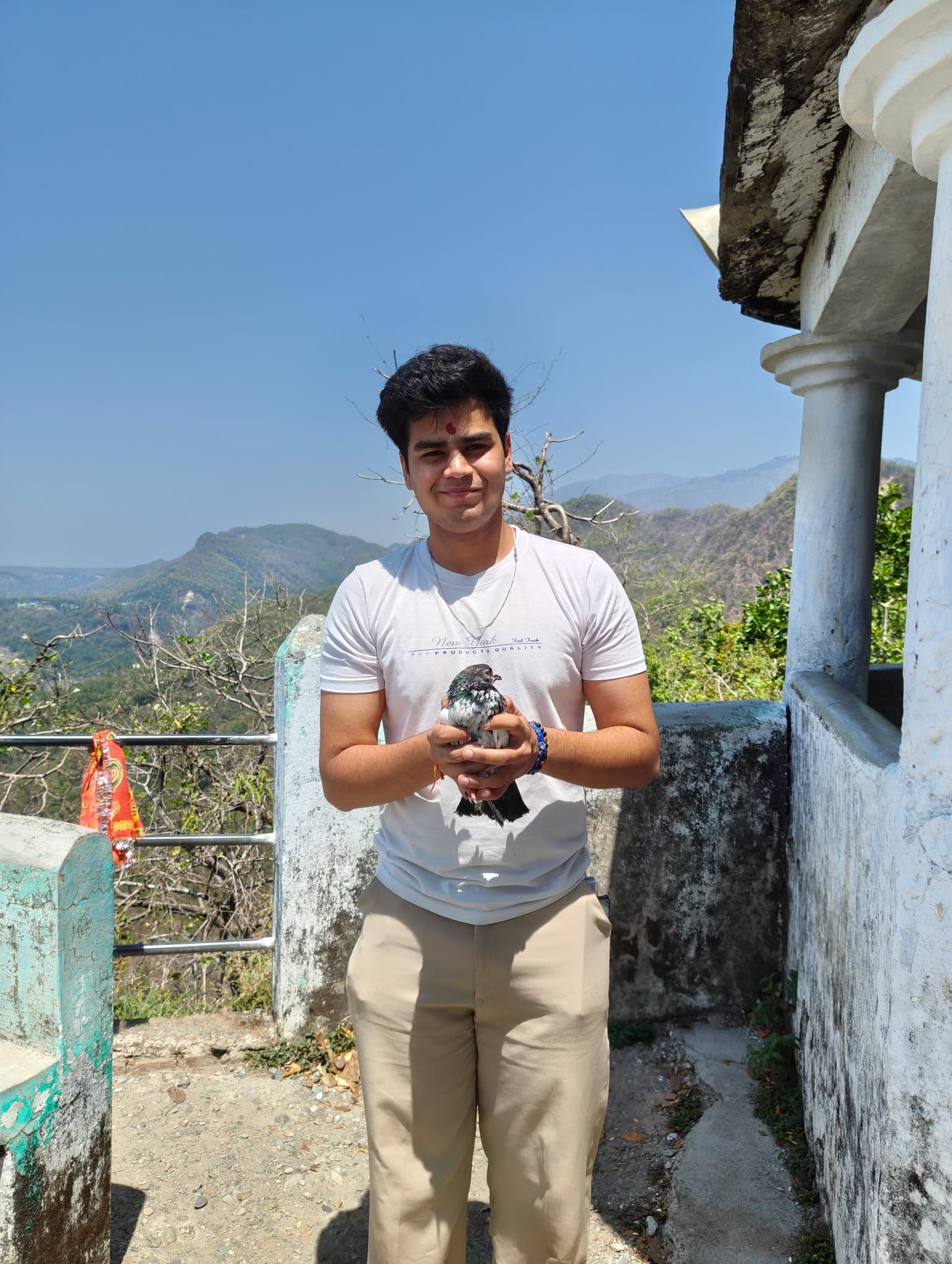 Rishabh Pharswan — photo 2