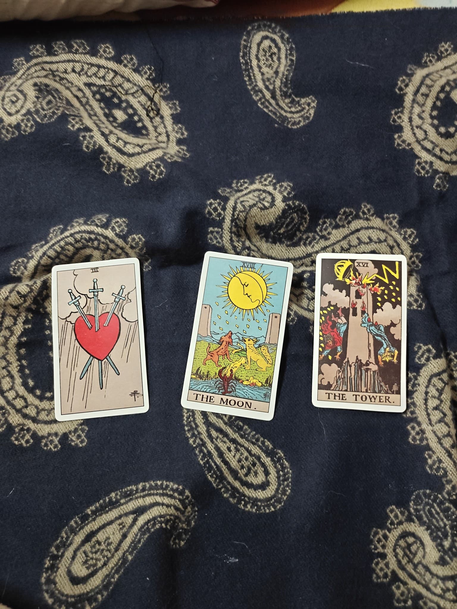 Shivangi Singh — photo 2