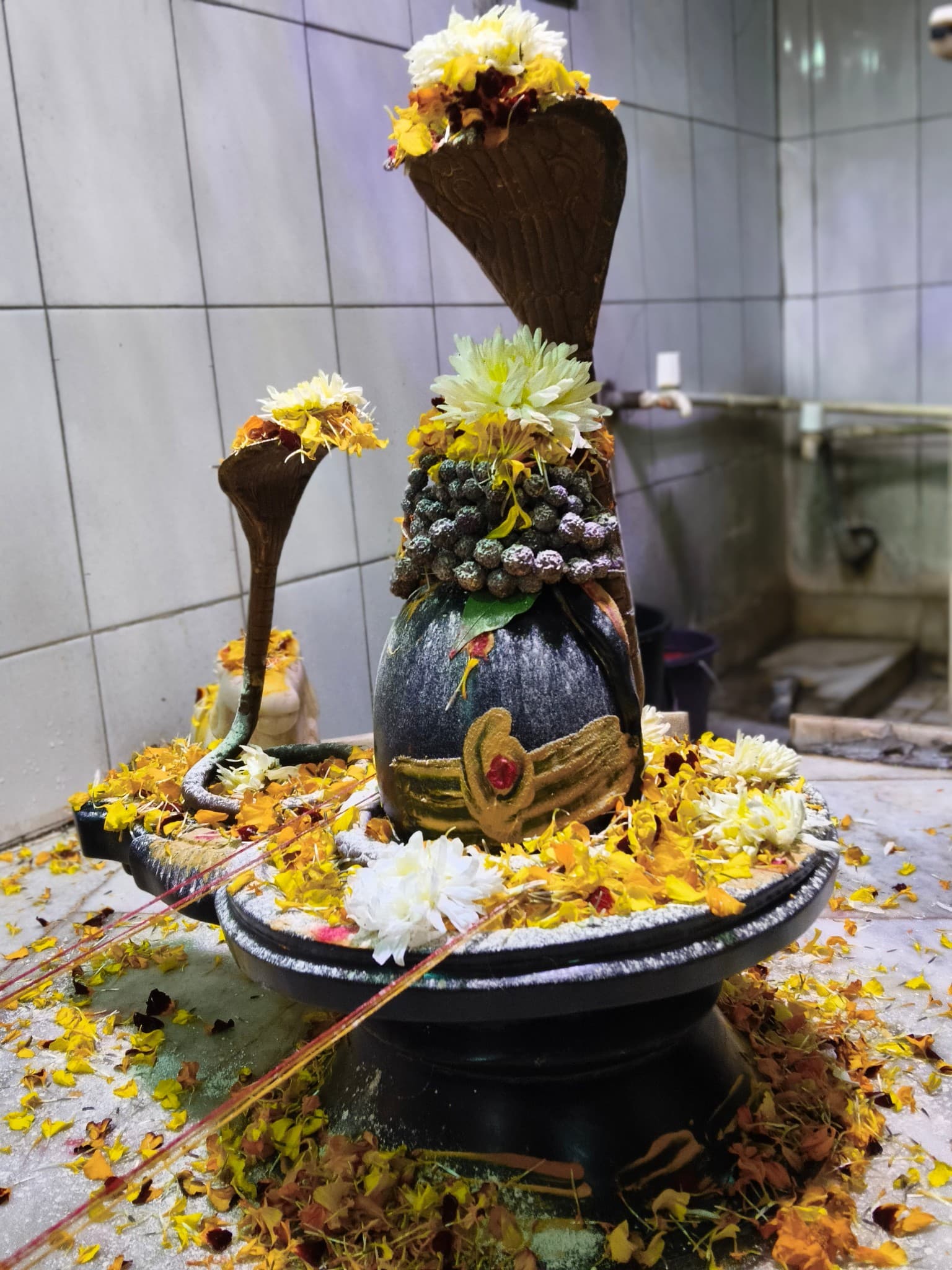 Daivagya Deepak Bhardwaj — photo 9