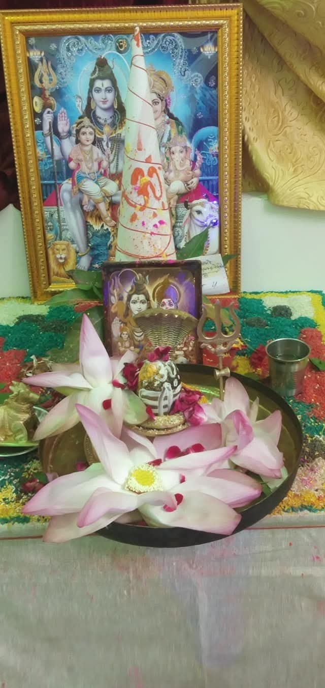 Astro kanika — photo 3