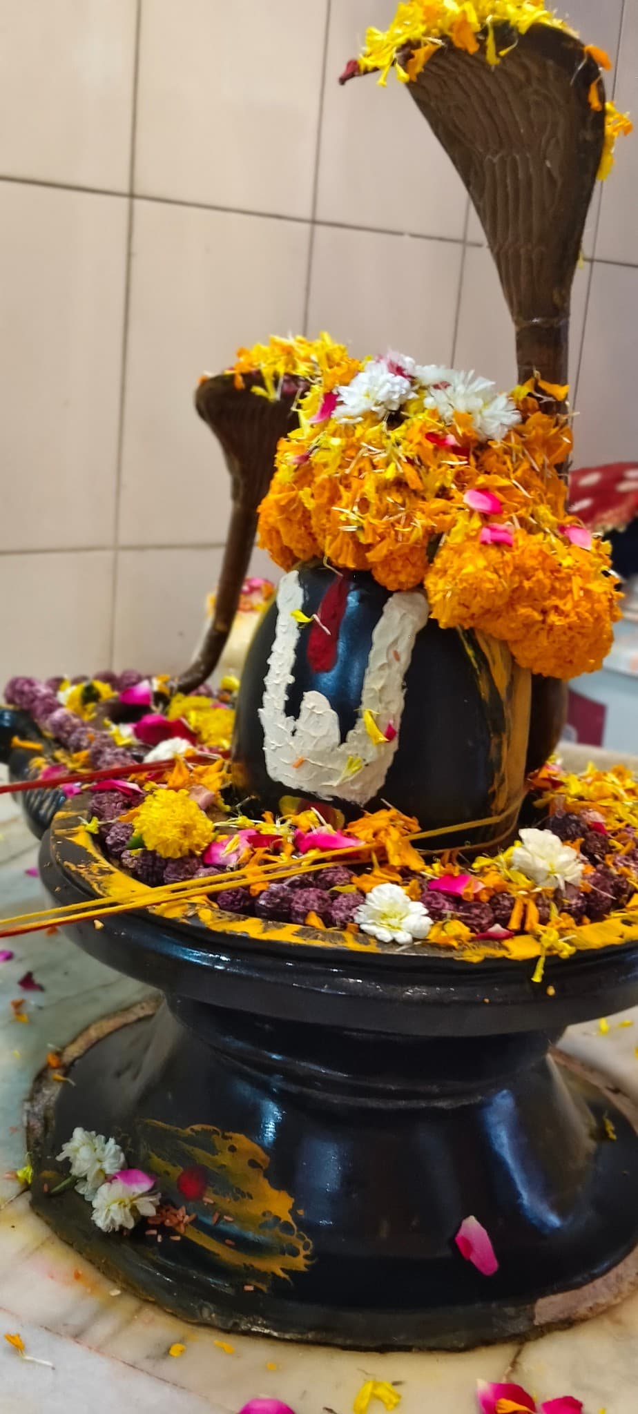 Daivagya Deepak Bhardwaj — photo 7