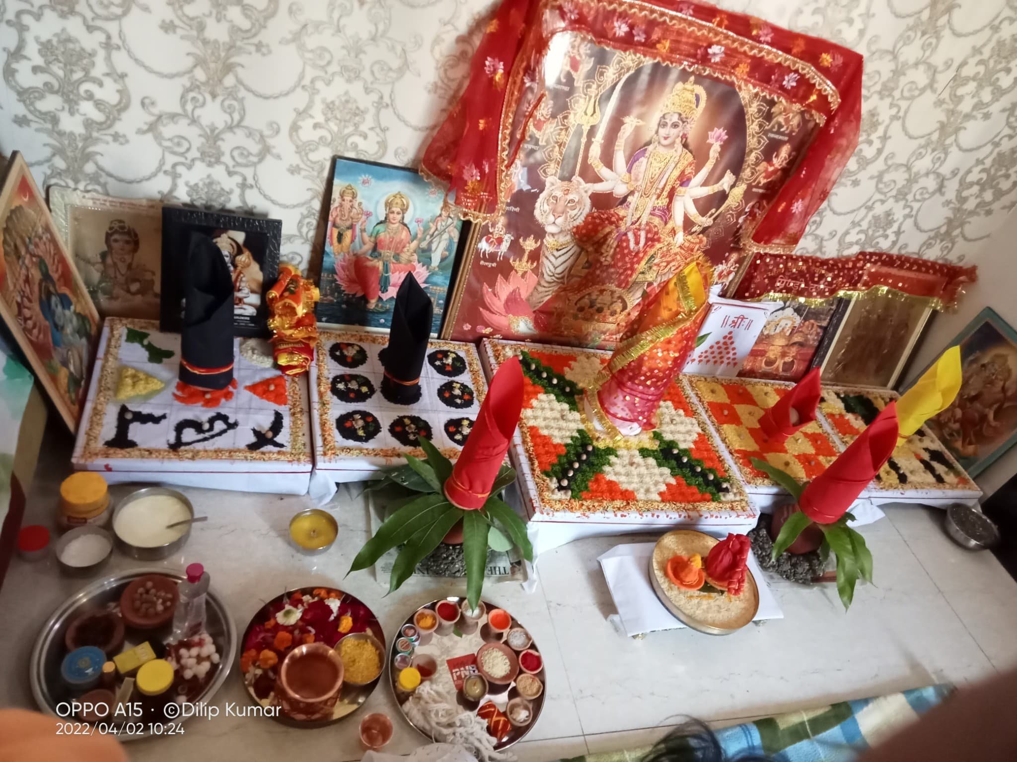 Pandit Dilip Shastri — photo 4